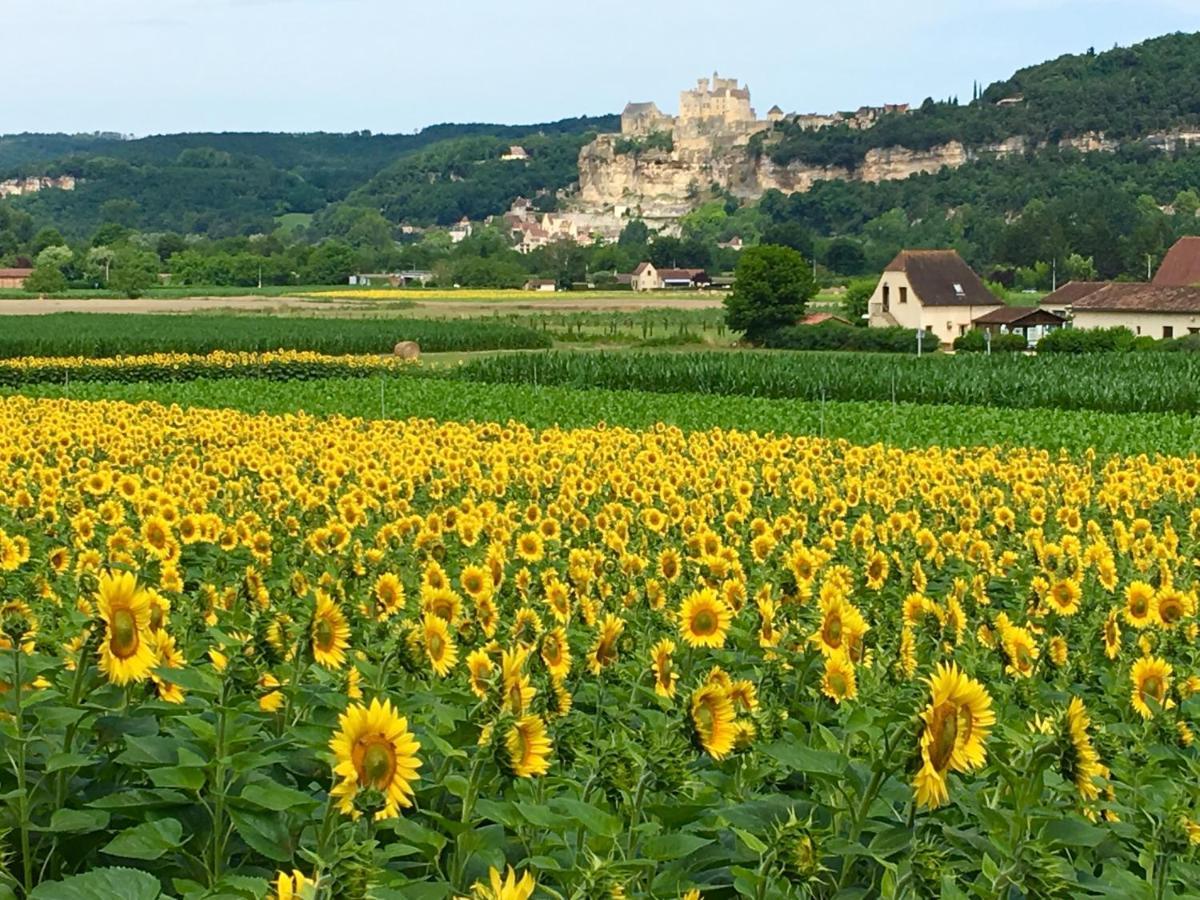 La Source, Beynac, Dordogne Hotel Luaran gambar